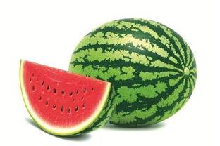 51娱乐网红吃瓜,揭秘娱乐圈幕后真相  第1张